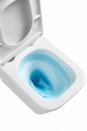 Подвесной унитаз безободковый Terminus Ватикан Monolit 490х340 белый Стерлитамак - фото 8 Подвесной унитаз безободковый Terminus Ватикан Monolit 490х340 белый Стерлитамак - фото 8