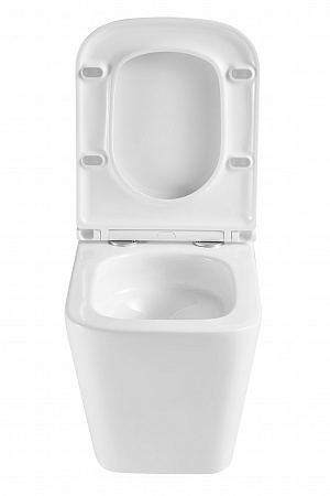 Подвесной унитаз безободковый Terminus Ватикан Monolit 490х340 белый Стерлитамак - фото 7 Подвесной унитаз безободковый Terminus Ватикан Monolit 490х340 белый Стерлитамак - фото 7