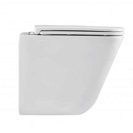 Подвесной унитаз безободковый Terminus Ватикан Monolit 490х340 белый Стерлитамак - фото 4 Подвесной унитаз безободковый Terminus Ватикан Monolit 490х340 белый Стерлитамак - фото 4