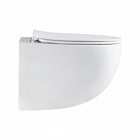 Подвесной унитаз безободковый Terminus Енисей Монолит 560х390 белый Стерлитамак - фото 4 Подвесной унитаз безободковый Terminus Енисей Монолит 560х390 белый Стерлитамак - фото 4