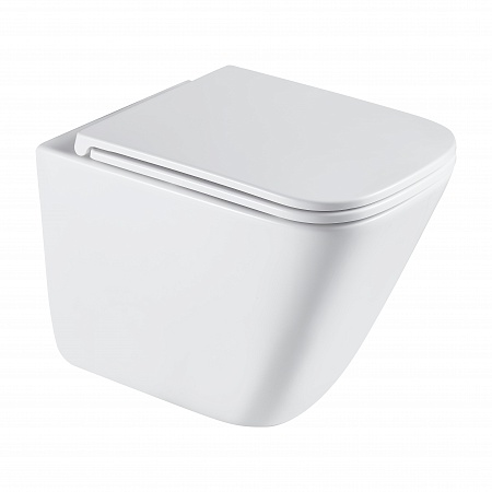 Подвесной унитаз безободковый Terminus Ватикан Monolit 490х340 белый Стерлитамак - фото 2 Подвесной унитаз безободковый Terminus Ватикан Monolit 490х340 белый Стерлитамак - фото 2