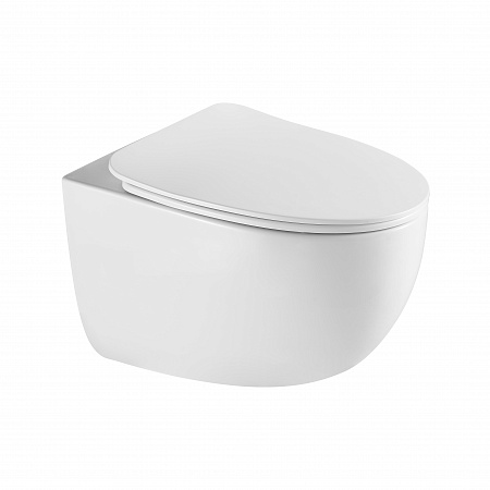 Подвесной унитаз безободковый Terminus Енисей Монолит 560х390 белый Стерлитамак - фото 2 Подвесной унитаз безободковый Terminus Енисей Монолит 560х390 белый Стерлитамак - фото 2