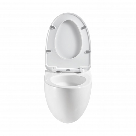 Подвесной унитаз безободковый Terminus Енисей Монолит 560х390 белый Стерлитамак - фото 5 Подвесной унитаз безободковый Terminus Енисей Монолит 560х390 белый Стерлитамак - фото 5