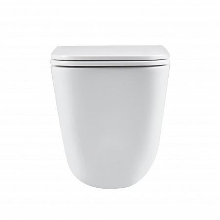 Подвесной унитаз безободковый Terminus Ватикан Monolit 490х340 белый Стерлитамак - фото 6 Подвесной унитаз безободковый Terminus Ватикан Monolit 490х340 белый Стерлитамак - фото 6