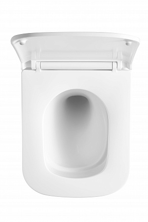 Подвесной унитаз безободковый Terminus Ватикан Monolit 490х340 белый Стерлитамак - фото 3 Подвесной унитаз безободковый Terminus Ватикан Monolit 490х340 белый Стерлитамак - фото 3